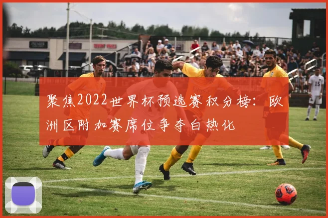 聚焦2022世界杯预选赛积分榜：欧洲区附加赛席位争夺白热化