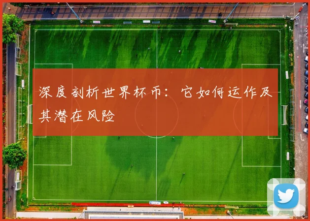 深度剖析世界杯币:它如何运作及其潜在风险