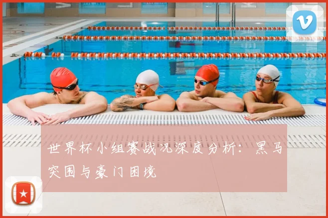 世界杯小组赛战况深度分析:黑马突围与豪门困境