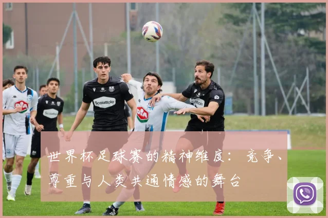 世界杯足球赛的精神维度:竞争、尊重与人类共通情感的舞台
