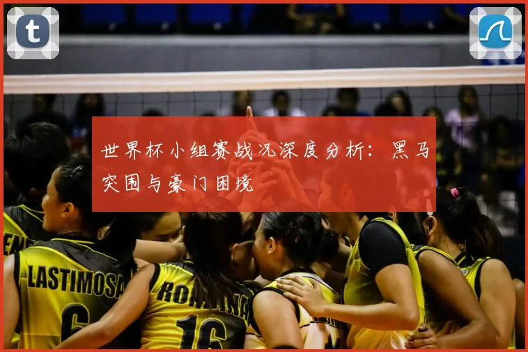 世界杯小组赛战况深度分析：黑马突围与豪门困境